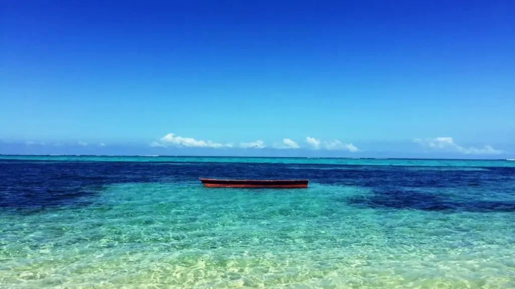 Kɛrɛfɔlɔw dɔnni, trend, ani seeding-fɛn ye yɔrɔ bɛɛ kɔnɔ a ka reach sisan. N bɛ dɛmɛ kɛ brandw ye kɛ Netherlands creators sɔrɔ ka work bɛn.